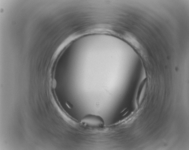 X0000081391430200701252053