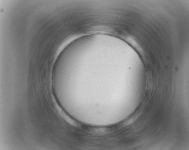 X0000081391431200701252053