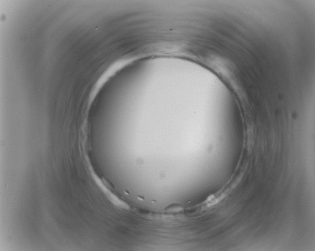 X0000081391432200701252053