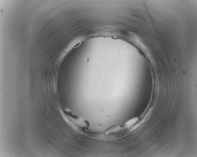 X0000081391433200701252053