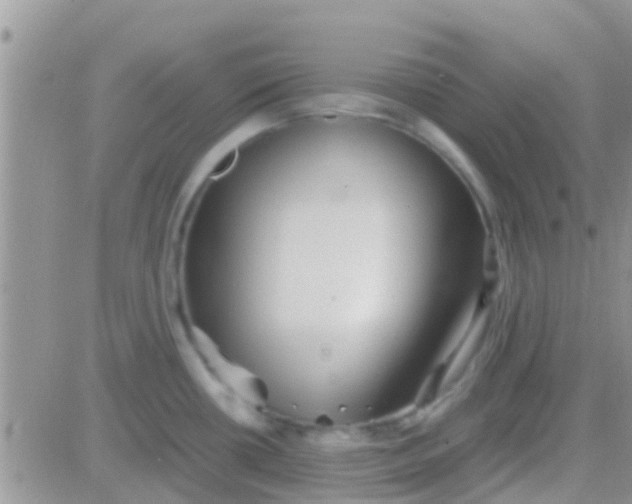 X0000081391434200701252053