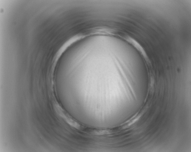 X0000081391435200701252053