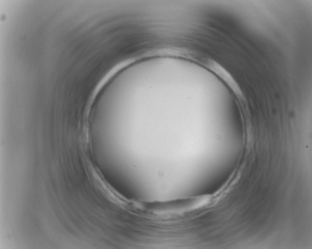 X0000081391436200701252053