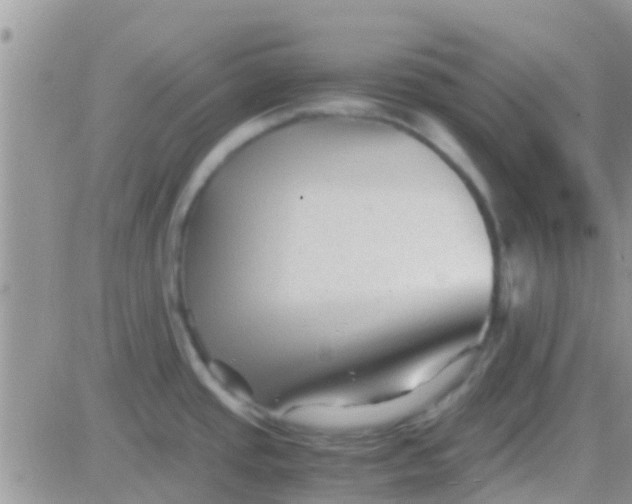 X0000081391437200701252053