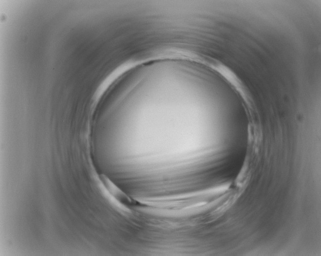 X0000081391438200701252053