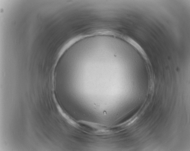 X0000081391439200701252053