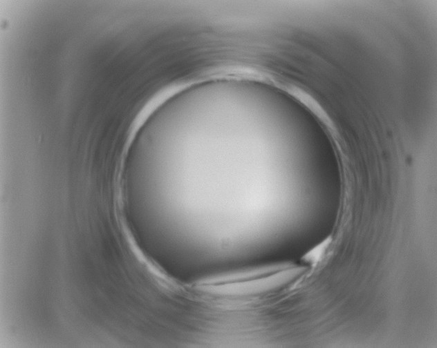 X0000081391440200701252053