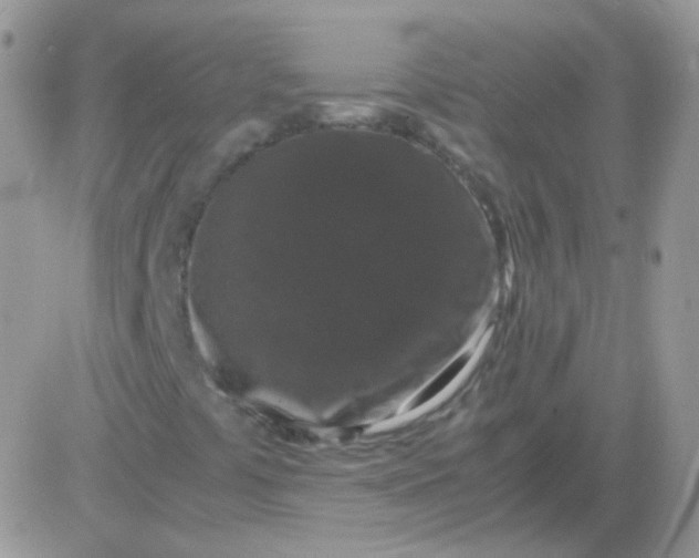 X0000081391441200701252052