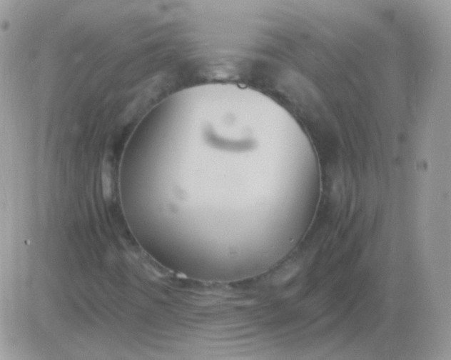 X0000081391442200701252052