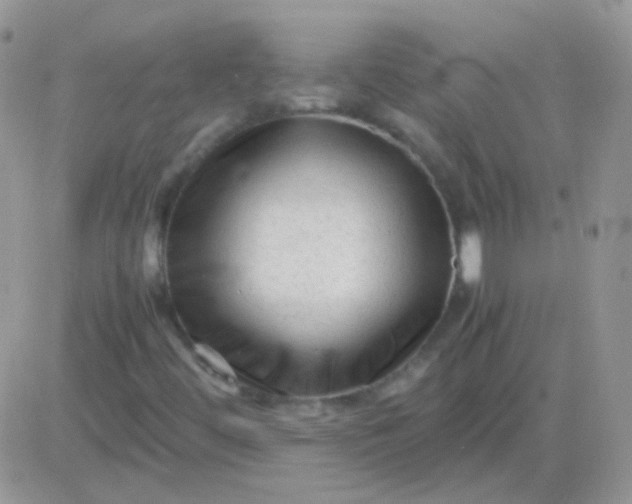 X0000081391444200701252052