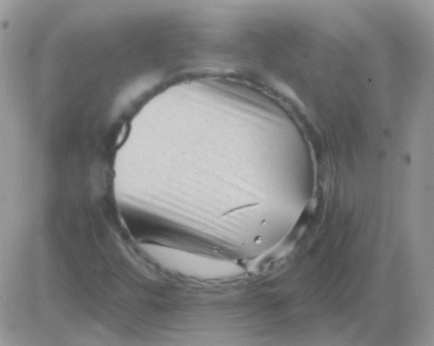 X0000081391448200701252052