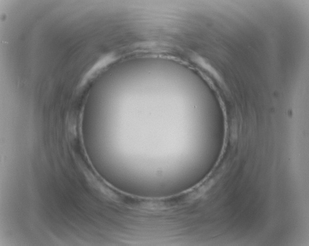 X0000081391451200701252052