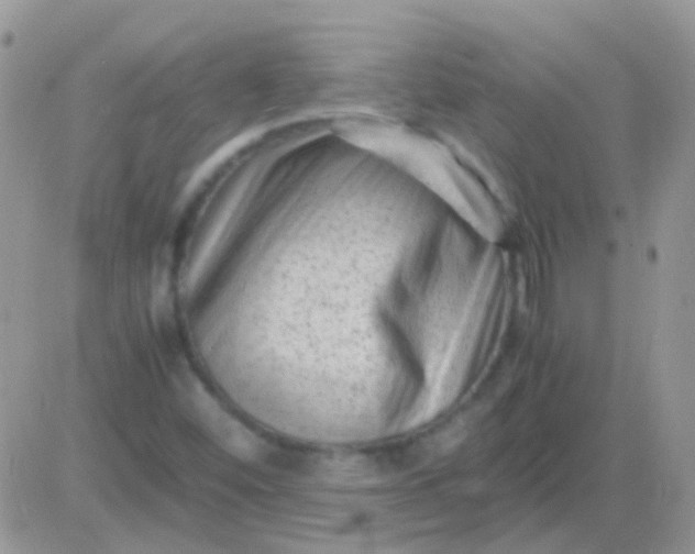 X0000081391452200701252052