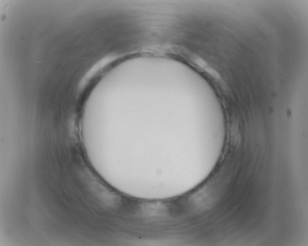 X0000081391454200701252052