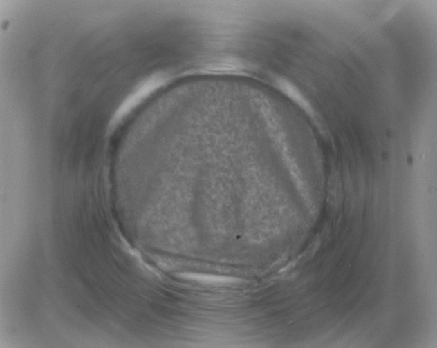 X0000081391456200701252052