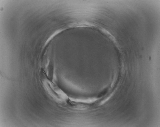 X0000081391457200701252052