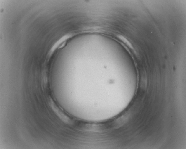 X0000081391458200701252052