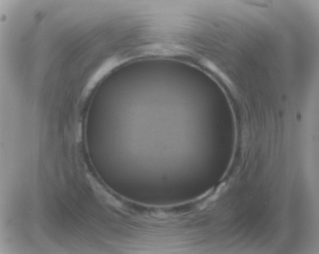 X0000081391459200701252052