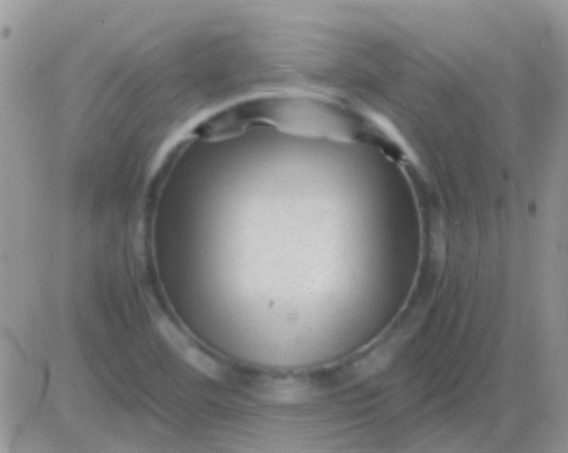 X0000081391460200701252052