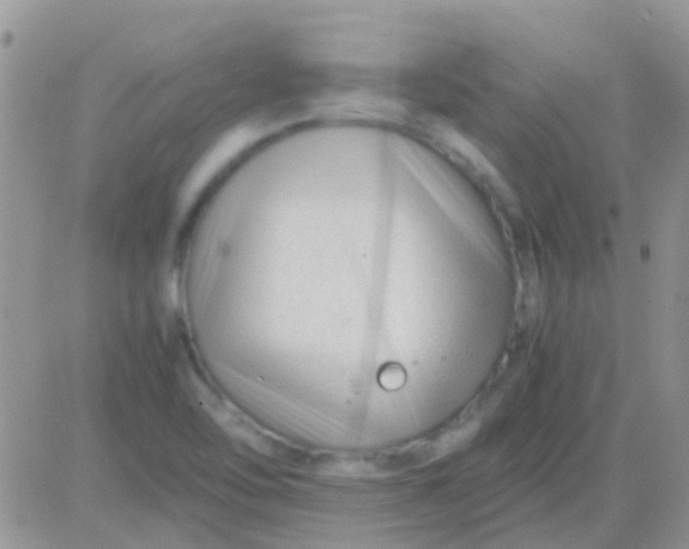 X0000081391462200701252052