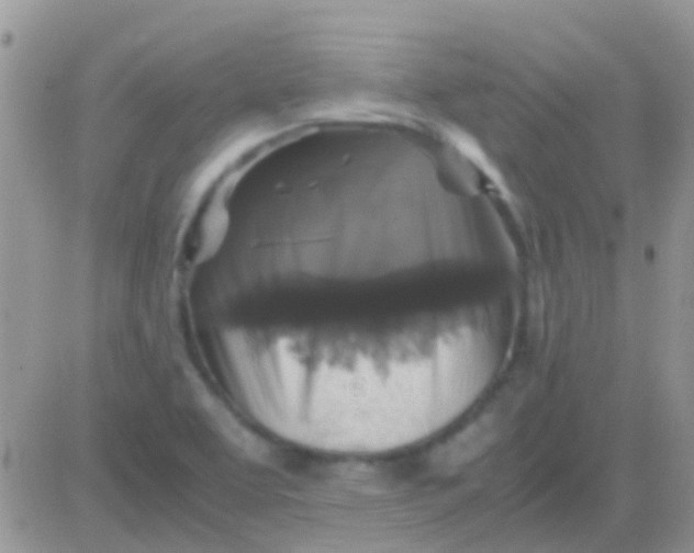 X0000081391463200701252052