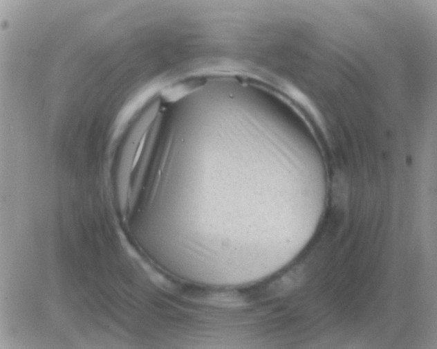 X0000081391464200701252052