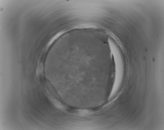 X0000081391465200701252052