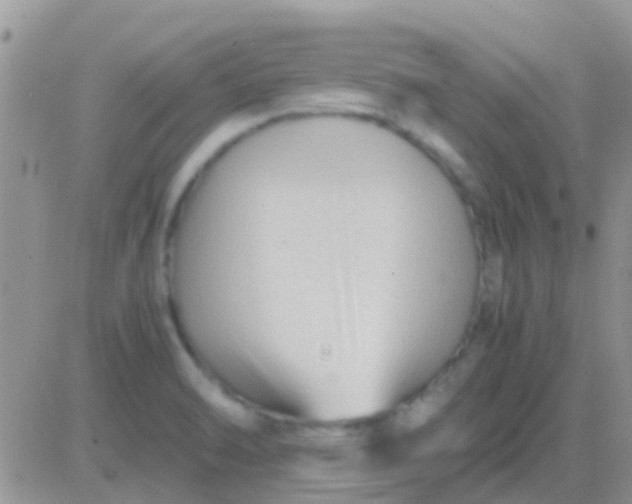 X0000081391470200701252052