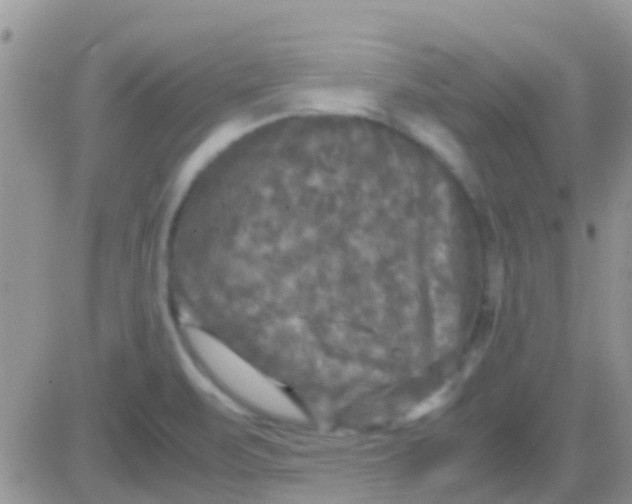 X0000081391471200701252052