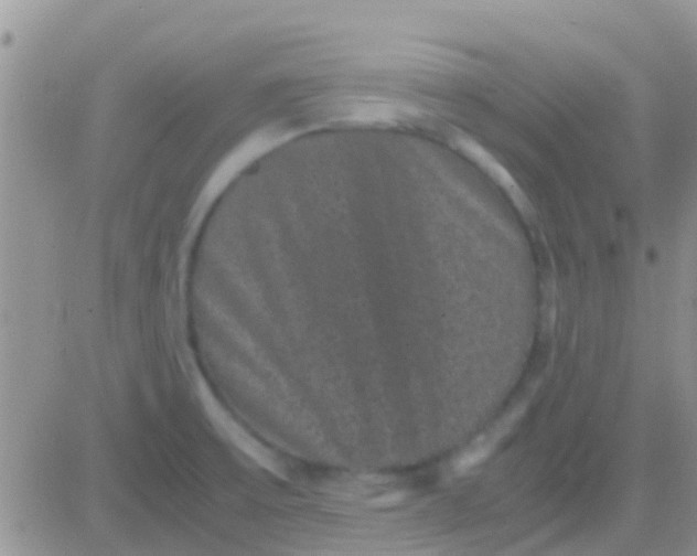 X0000081391475200701252052