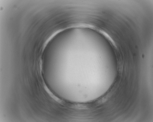 X0000081391476200701252052