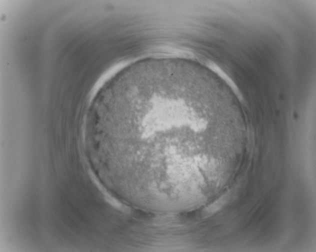 X0000081391477200701252052