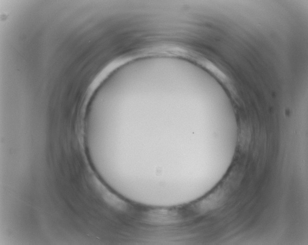 X0000081391478200701252052