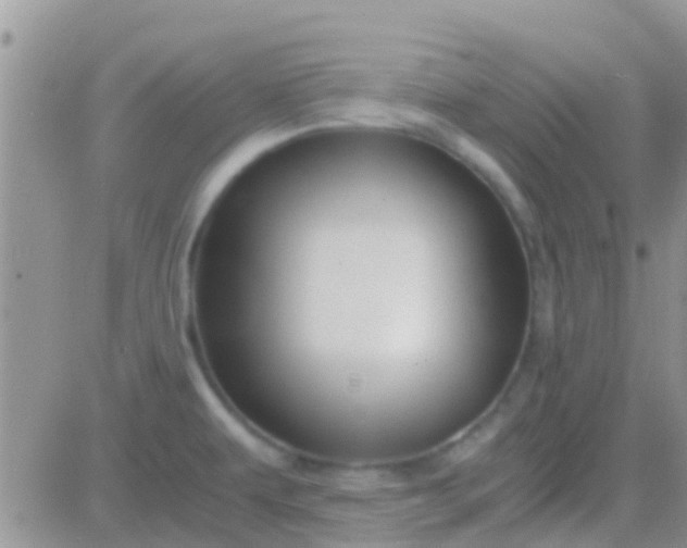 X0000081391479200701252052