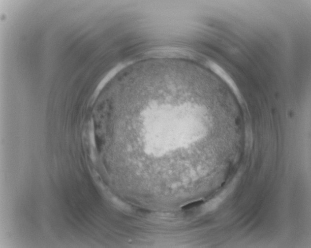 X0000081391481200701252052