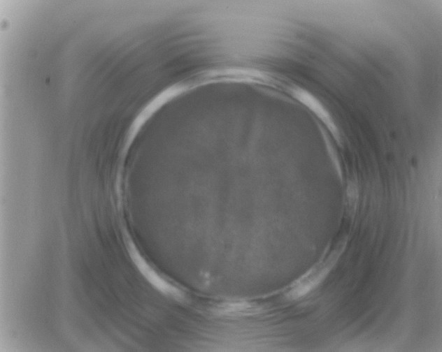 X0000081391482200701252052