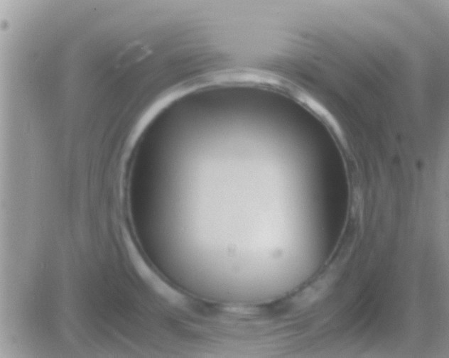 X0000081391483200701252052