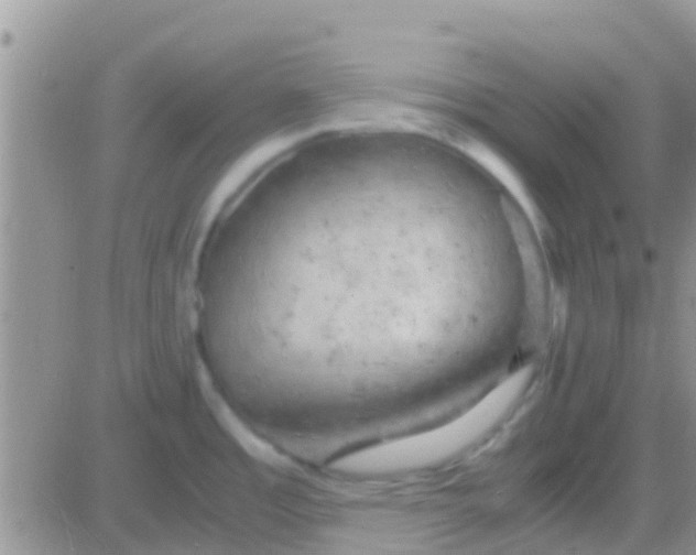 X0000081391485200701252052