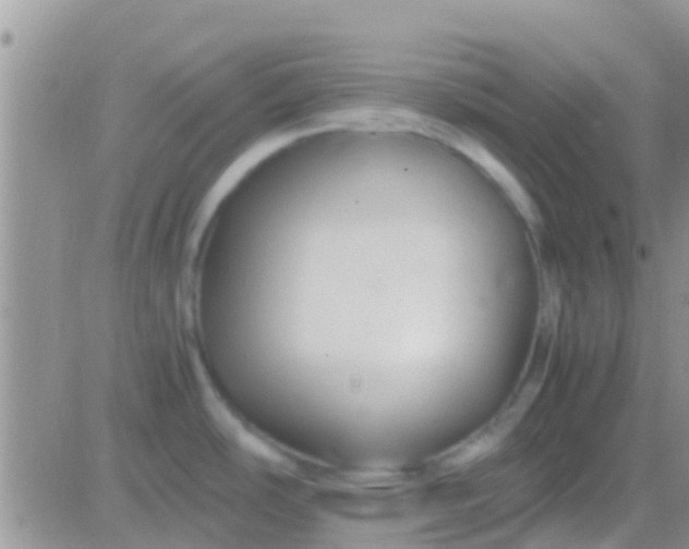 X0000081391486200701252052