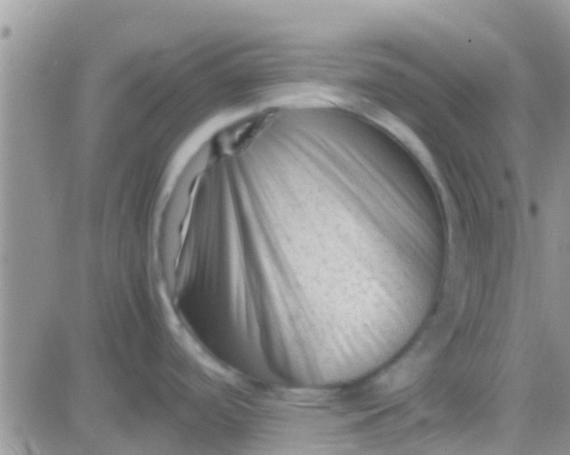 X0000081391488200701252051