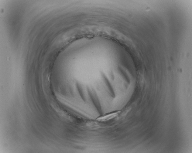 X0000081391489200701252051