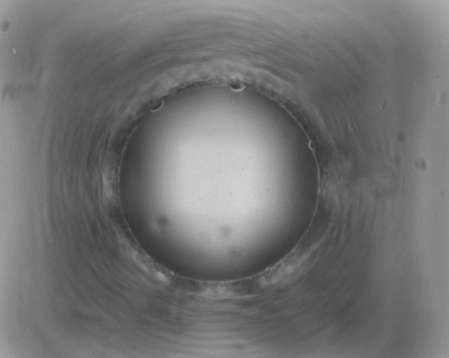 X0000081391490200701252051