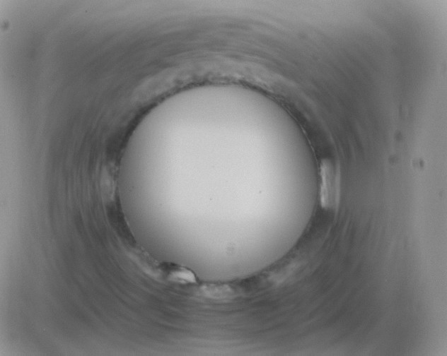 X0000081391491200701252051