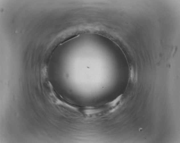 X0000081391492200701252051