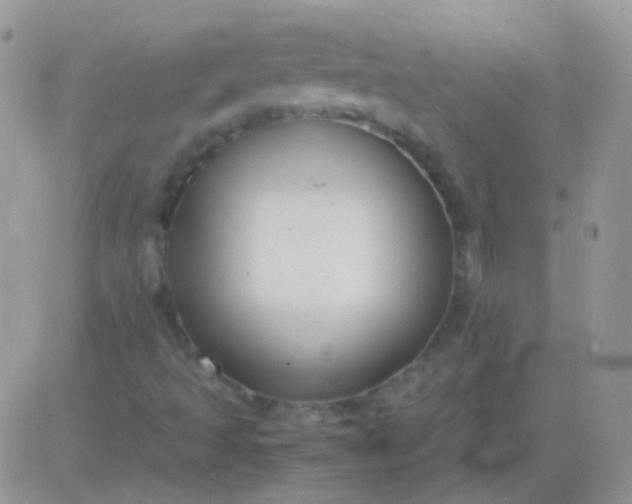 X0000081391493200701252051