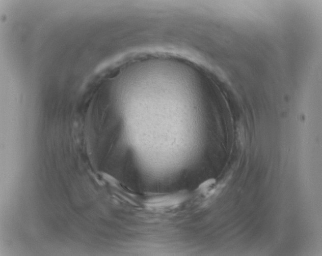 X0000081391494200701252051