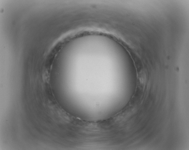 X0000081391495200701252051