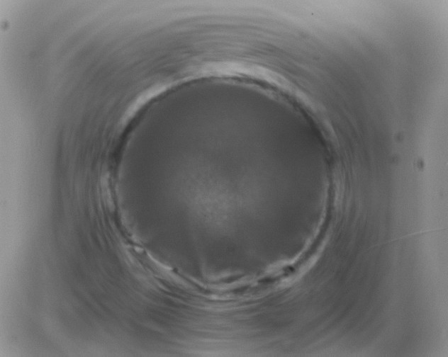 X0000081391497200701252051