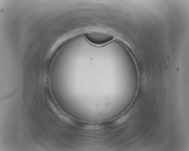 X0000081391499200701252051