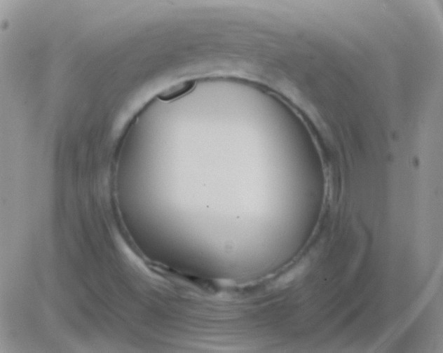 X0000081391500200701252051